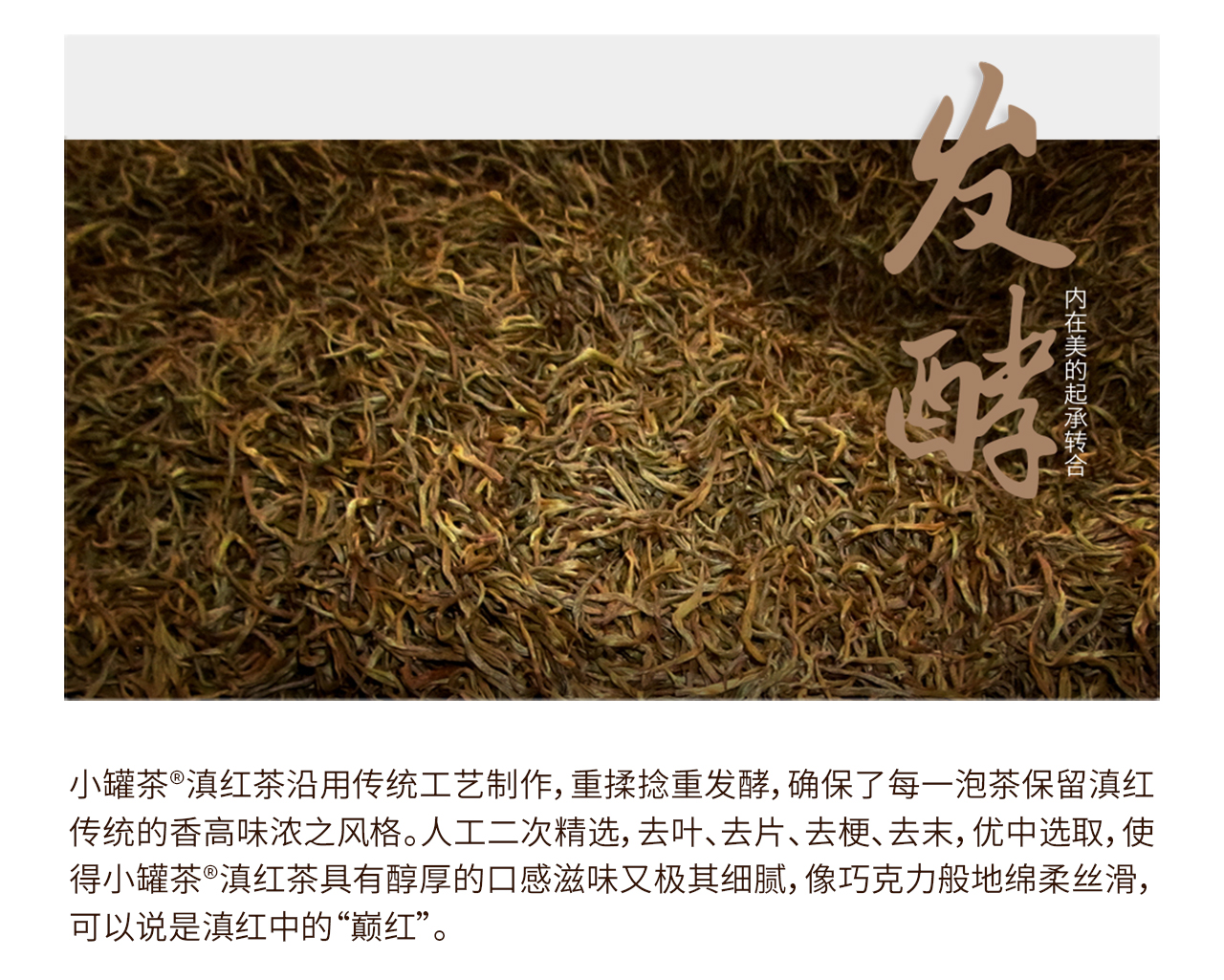 小罐茶金罐经典特级滇红茶礼盒装 10罐/盒 - 行于山海